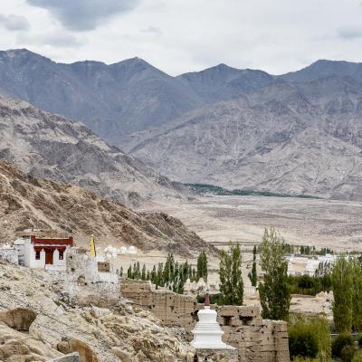 Ladakh-3626