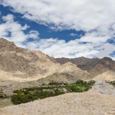 Ladakh-3836