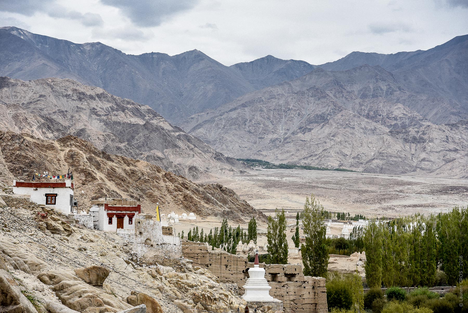 Ladakh-3626