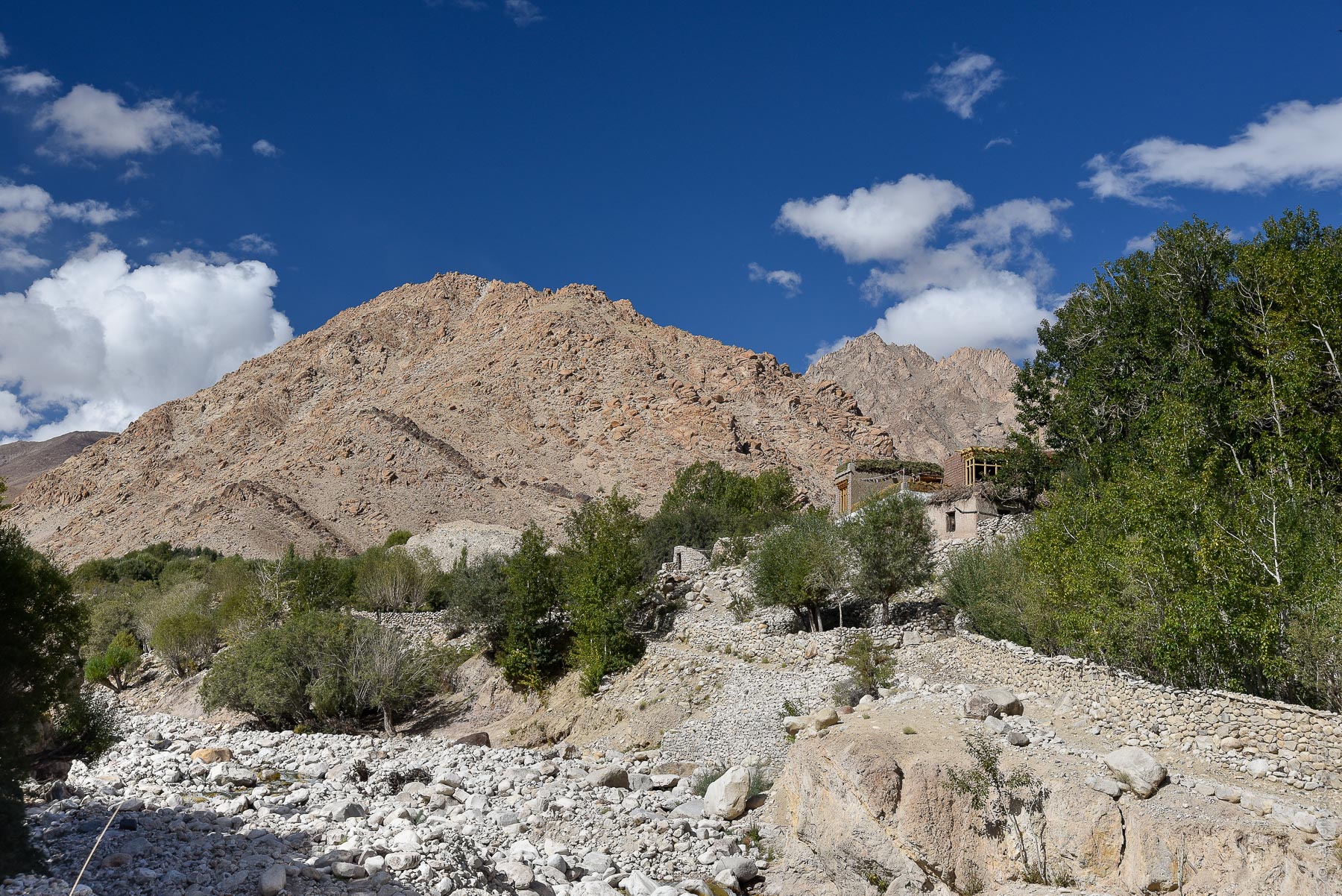 Ladakh-3887