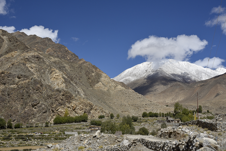 Ladakh-4484
