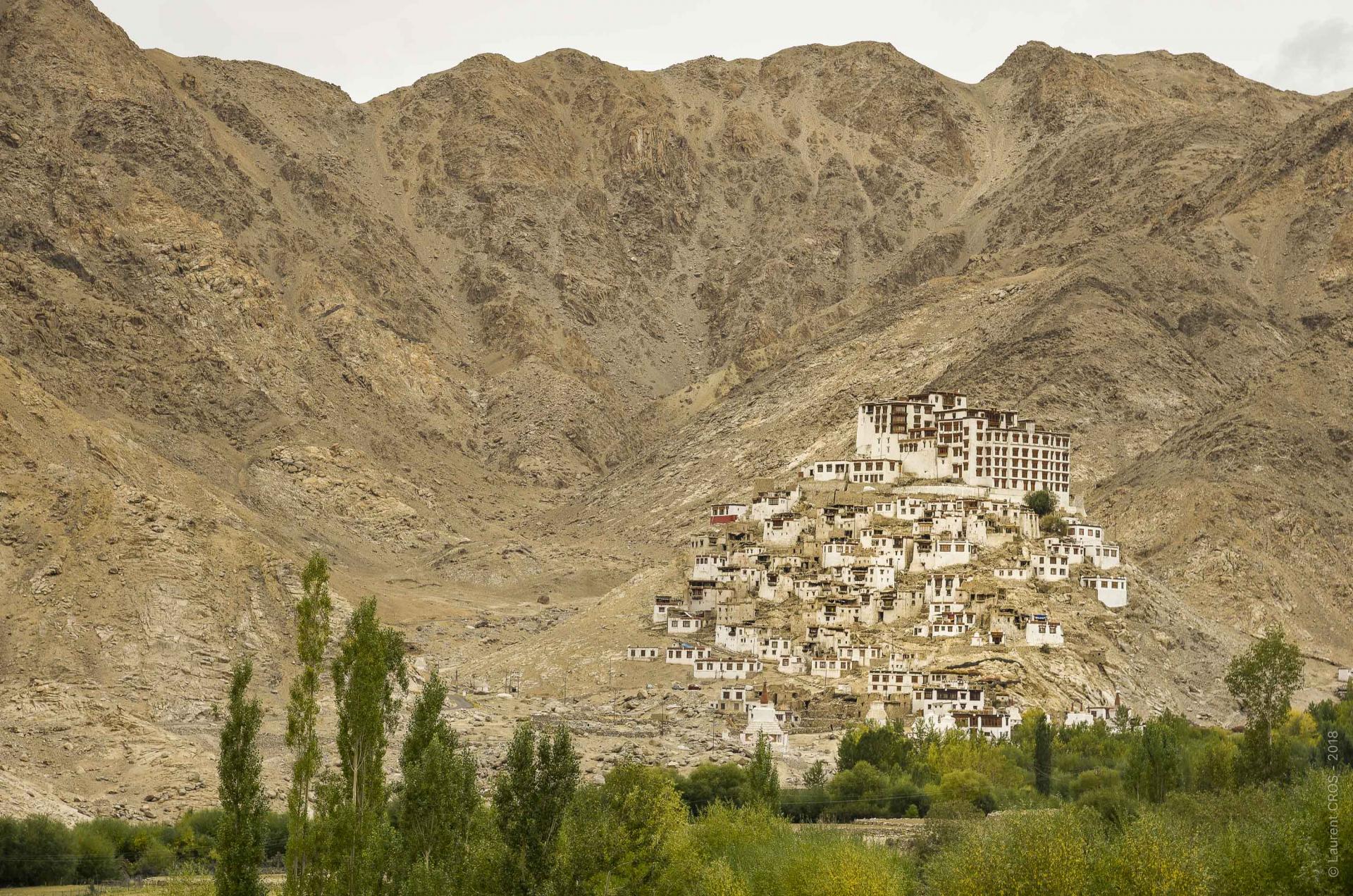 Ladakh-4569